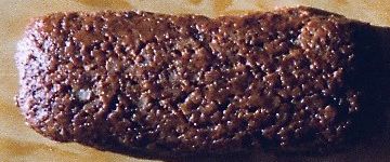 Printe Rudolf Lammersktter